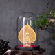 Đế Sen kẹp gắn tượng phật và lá bồ đề mạ vàng