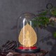 Lá bồ đề mạ vàng và tượng phật