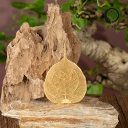 Lá bồ đề mạ vàng, biểu tượng bắt ấn